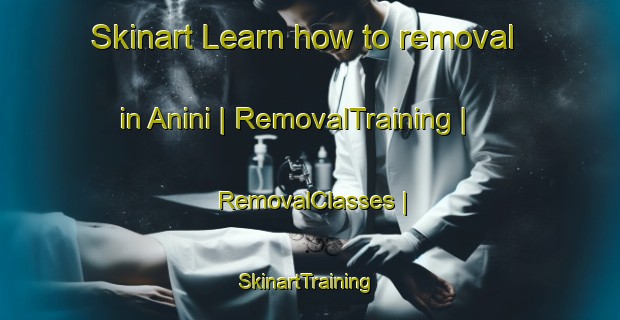 Skinart Learn how to removal in Anini | RemovalTraining | RemovalClasses | SkinartTraining-Moldova